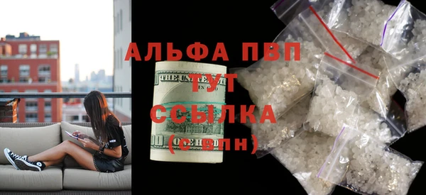 ГАЛЛЮЦИНОГЕННЫЕ ГРИБЫ Сатка