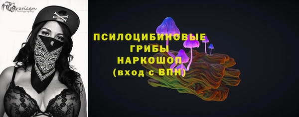 ГАЛЛЮЦИНОГЕННЫЕ ГРИБЫ Сатка