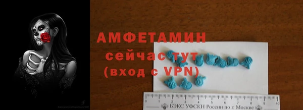 ГАЛЛЮЦИНОГЕННЫЕ ГРИБЫ Сатка