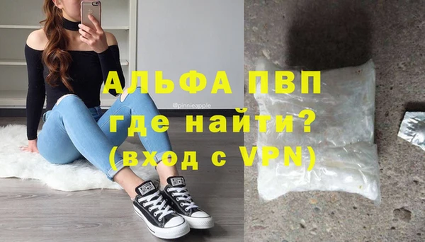 ГАЛЛЮЦИНОГЕННЫЕ ГРИБЫ Сатка