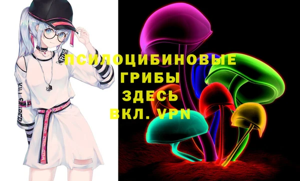 ГАЛЛЮЦИНОГЕННЫЕ ГРИБЫ Сатка